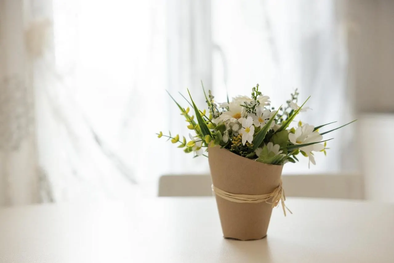 Bed & Breakfast B&B Cá Bianca Ventisette Riccione Italia